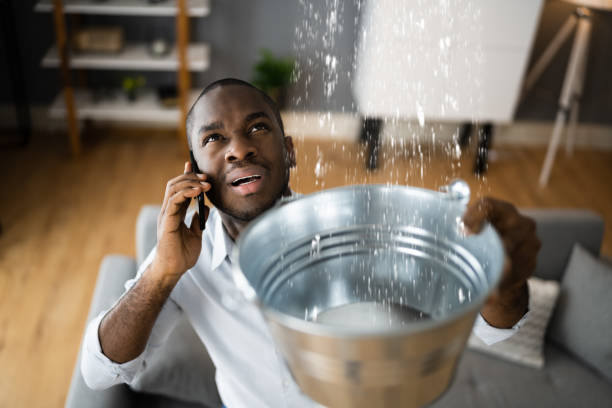 Best Water damage cleanup near me  in Nth Bend, OR