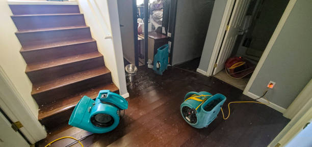 Best Water damage cleanup near me  in Nth Bend, OR