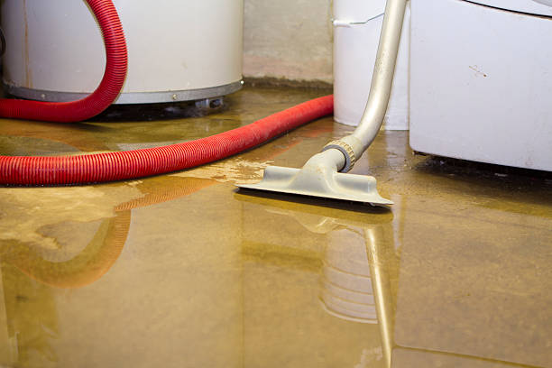 Best Professional water damage repair  in Nth Bend, OR