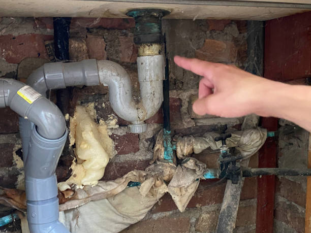 Best Ceiling water damage repair  in Nth Bend, OR