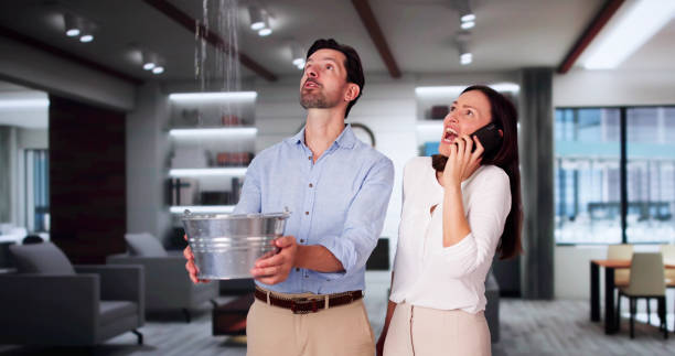 Best Water damage contractors near me  in Nth Bend, OR